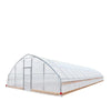 7.6 x 16 m Tunnel Greenhouse Grow Tent w/6 Mil Clear EVA Film, Roll-Up Sides, TMG-GH2550