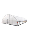 Commerciële tunnelkas van 9 x 15 meter met 6 mm dikke transparante polyethyleenfolie en oprolbare zijwanden TMG-GH3050