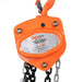 TMG Industrial 1 Ton 10' Lift Chain Hoist, 360° Swivel Hook, ASME B30.16, TMG-AHC1