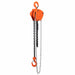 TMG Industrial 1 Ton 10' Lift Chain Hoist, 360° Swivel Hook, ASME B30.16, TMG-AHC1