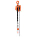TMG Industrial 2 Ton 10' Lift Chain Hoist, 360° Swivel Hook, ASME B30.16, TMG-AHC2