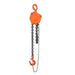 TMG Industrial 2 Ton 10' Lift Chain Hoist, 360° Swivel Hook, ASME B30.16, TMG-AHC2