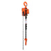 TMG Industrial 2 Ton 10' Lift Chain Hoist, 360° Swivel Hook, ASME B30.16, TMG-AHC2