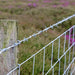 TMG Industrial Farm Fence, Property Protection, Livestock Control, 47” Height, 100 Meters Per Roll, 12.5 GA Wire, 6” Vertical Wire Distance, TMG-FMF100