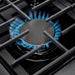 TMG Living Kitchen 36” Freestanding Gas Convection Range, Commercial Convection Fan, 3-Layered Glass Window, 9000-18500 BTU, TMG-HRG36